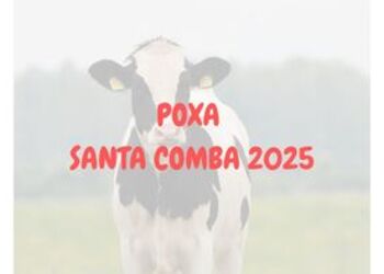 A%c3%b1adir un t%c3%adtulo