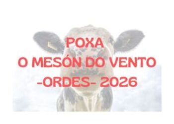 A%c3%b1adir un t%c3%adtulo 1