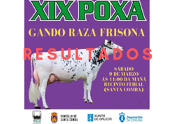 I poxa de xovencas raza frisona  6 